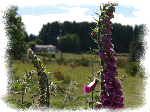 Plateau Vivarais-Lignon